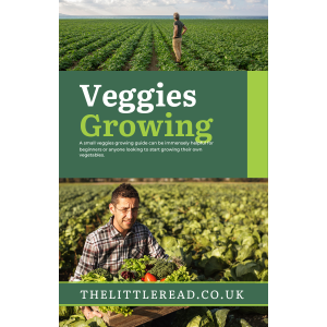 Shop understanding cmt: a comprehensive guide to charcot marie tooth disorder (copy)