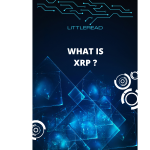 Shop veggies growing (copy)